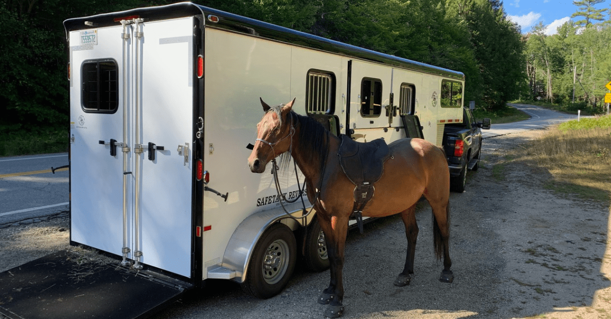 10 Veterinarian Approved Tips to Make Traveling with Horses Easier